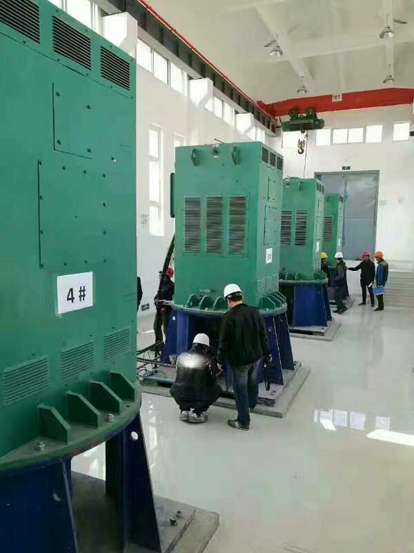 青冈某污水处理厂使用我厂的立式高压电机安装现场